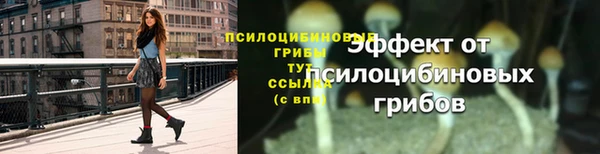 молекула духа Зерноград