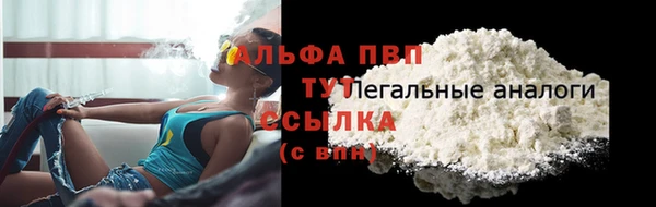 молекула духа Зерноград