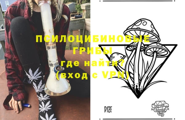молекула духа Зерноград