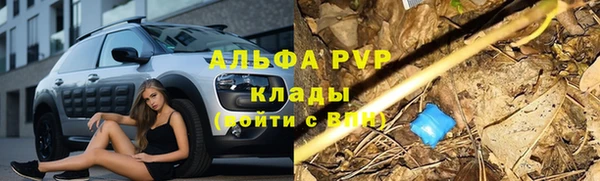 молекула духа Зерноград