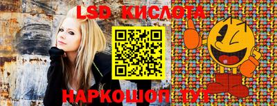 гашик Волжский