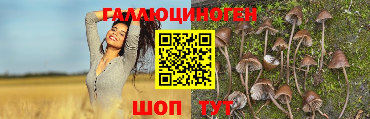 Галлюциногенные грибы мухоморы  Вход с VPN  хочу наркоту  Карталы 